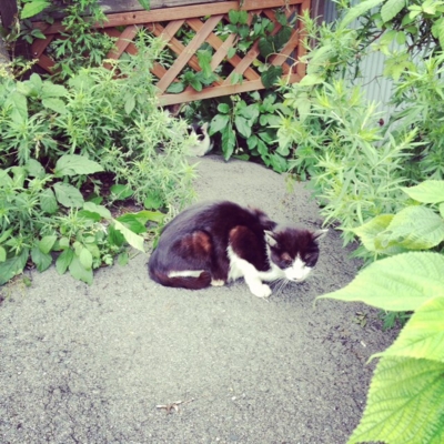 f:id:yukix03:20120708233347j:image