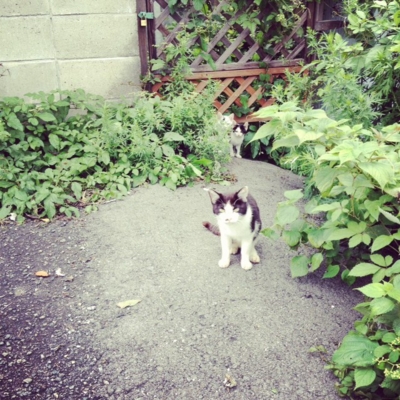 f:id:yukix03:20120708233413j:image