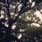 20140717232421