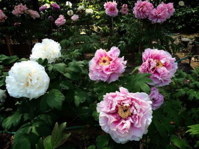 f:id:yukix03:20150426151516j:image