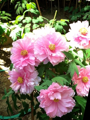 f:id:yukix03:20150426151523j:image