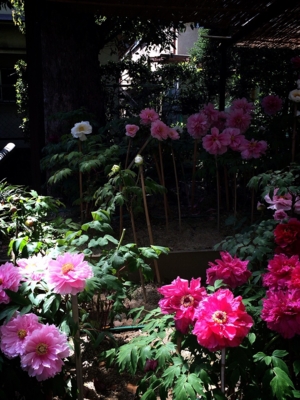 f:id:yukix03:20150426151529j:image