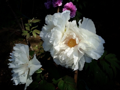 f:id:yukix03:20150426151854j:image