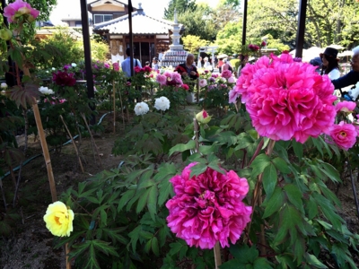 f:id:yukix03:20150426151856j:image