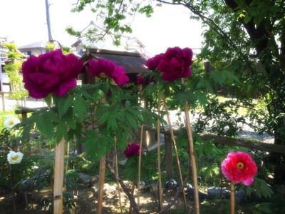 f:id:yukix03:20150426151859j:image