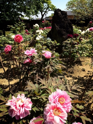 f:id:yukix03:20150426151902j:image