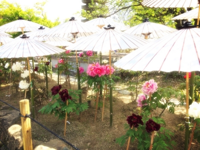 f:id:yukix03:20150426151905j:image