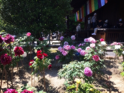 f:id:yukix03:20150426151907j:image