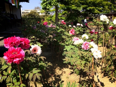 f:id:yukix03:20150426151910j:image