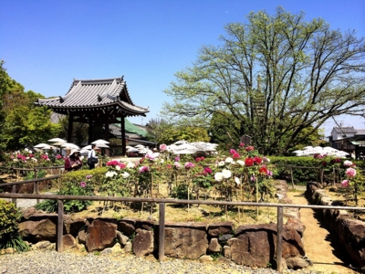 f:id:yukix03:20150426151913j:image