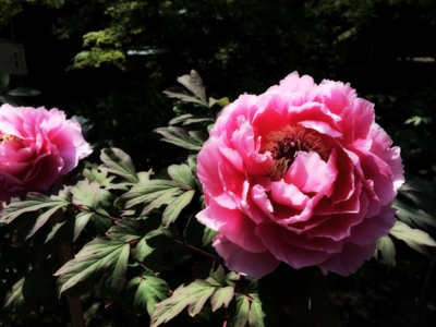 f:id:yukix03:20150426151916j:image