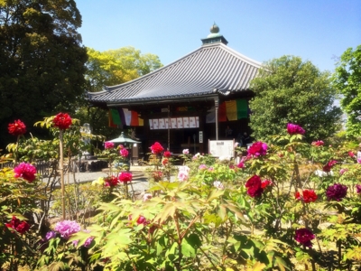 f:id:yukix03:20150426151918j:image