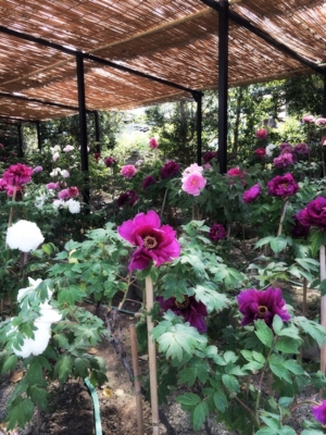 f:id:yukix03:20150426152223j:image