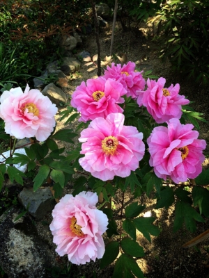 f:id:yukix03:20150426152236j:image