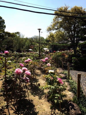 f:id:yukix03:20150426152239j:image