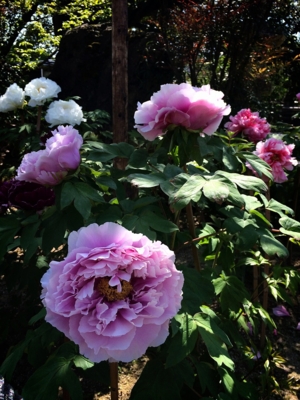 f:id:yukix03:20150426152242j:image