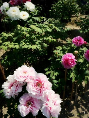 f:id:yukix03:20150426152245j:image