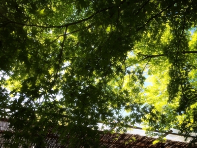 f:id:yukix03:20150426152449j:image