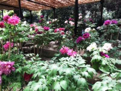 f:id:yukix03:20150426152451j:image