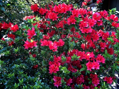 f:id:yukix03:20150426160938j:image