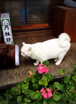 f:id:yukix03:20170122201527j:image