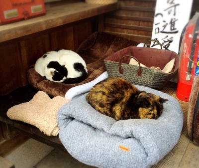 f:id:yukix03:20170122201530j:image