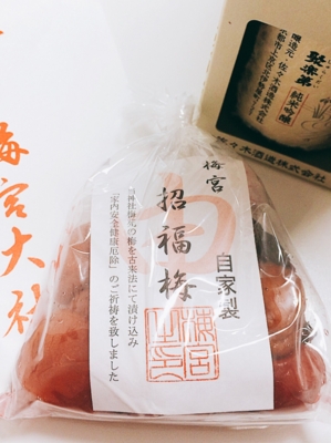 f:id:yukix03:20170122201539j:image