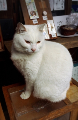 f:id:yukix03:20170122201631j:image