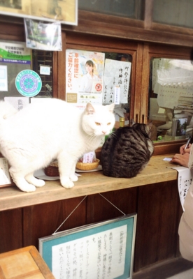 f:id:yukix03:20170122201634j:image