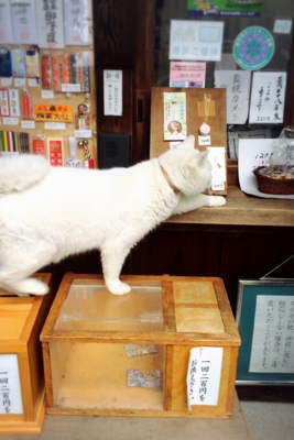 f:id:yukix03:20170122201637j:image