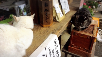 f:id:yukix03:20170122201726j:image