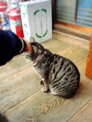 f:id:yukix03:20170122201734j:image