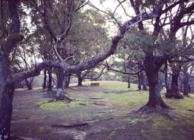 f:id:yukix03:20170126060833j:image