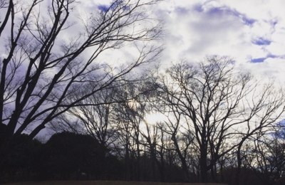 f:id:yukix03:20170126060836j:image