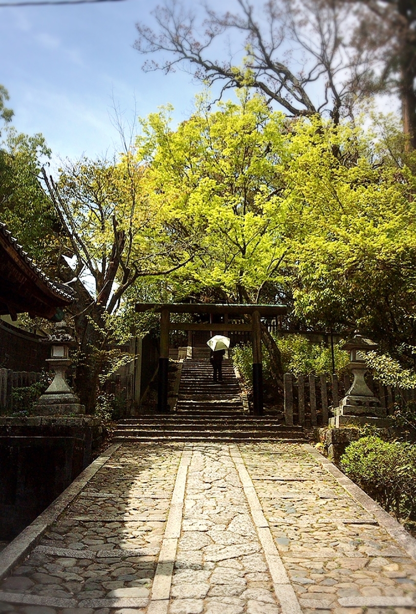 f:id:yukix03:20190419233244j:plain f:id:yukix03:20190419233244j:plain