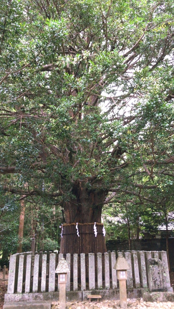 f:id:yukix03:20191026123819j:plain