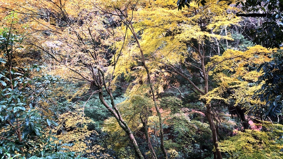 f:id:yukix03:20191208194252j:plain