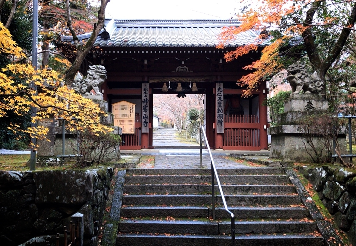 f:id:yukix03:20191208194311j:plain