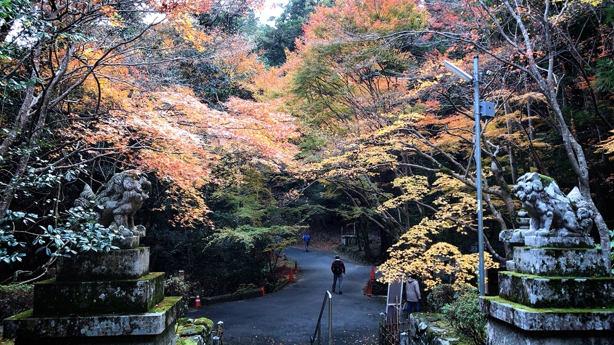 f:id:yukix03:20191208194450j:plain