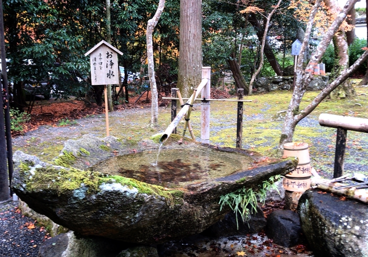 f:id:yukix03:20191208194520j:plain