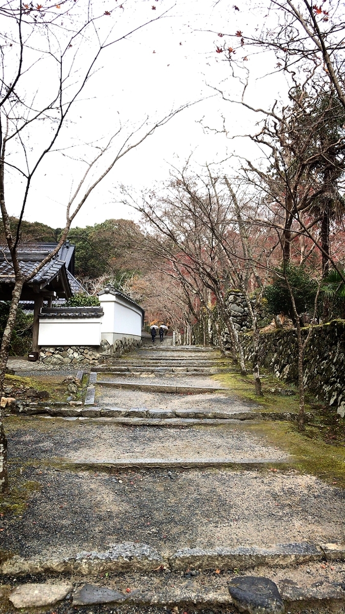 f:id:yukix03:20191208194545j:plain