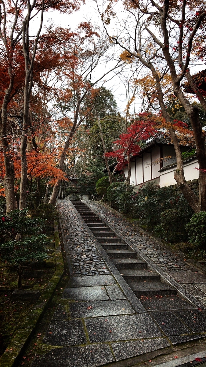 f:id:yukix03:20191208194643j:plain