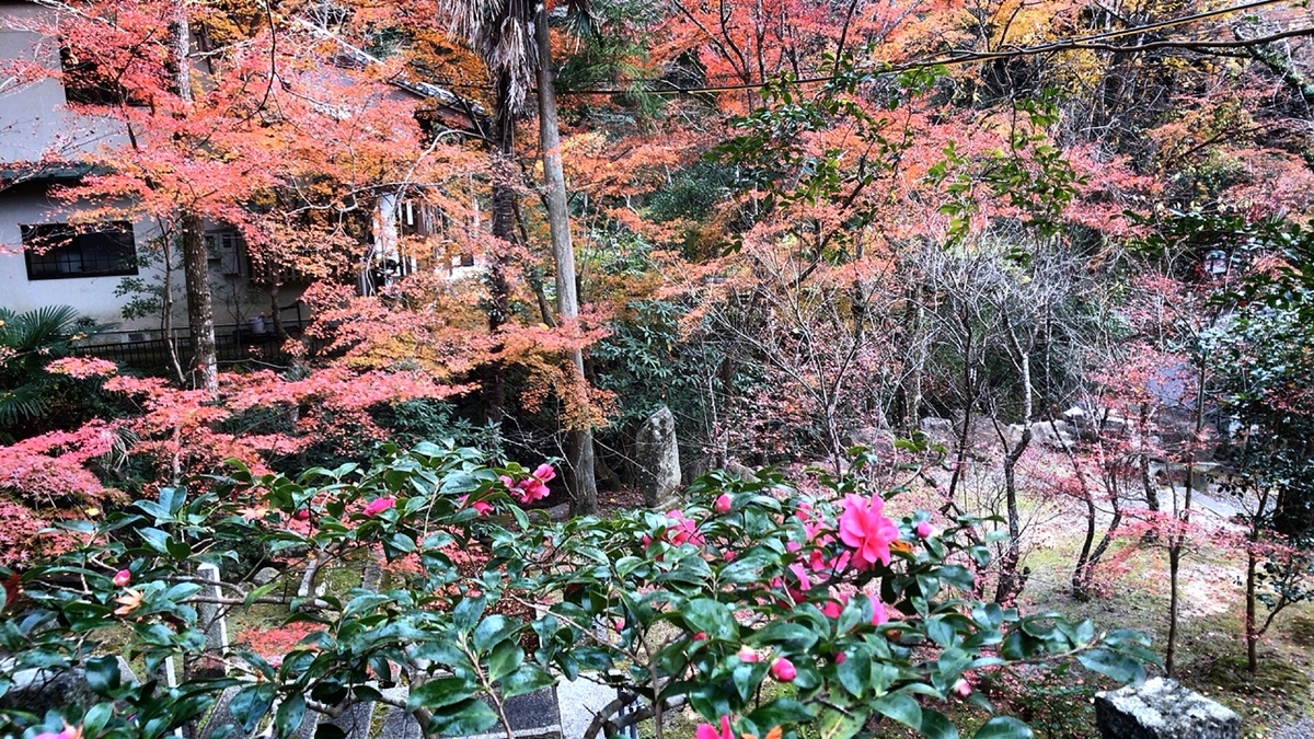 f:id:yukix03:20191208194701j:plain