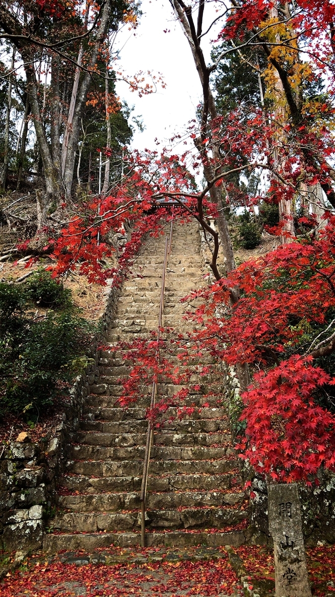 f:id:yukix03:20191208195020j:plain