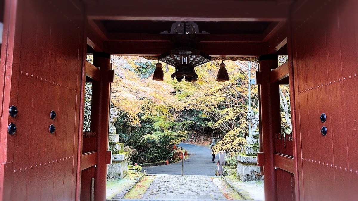 f:id:yukix03:20191208195224j:plain