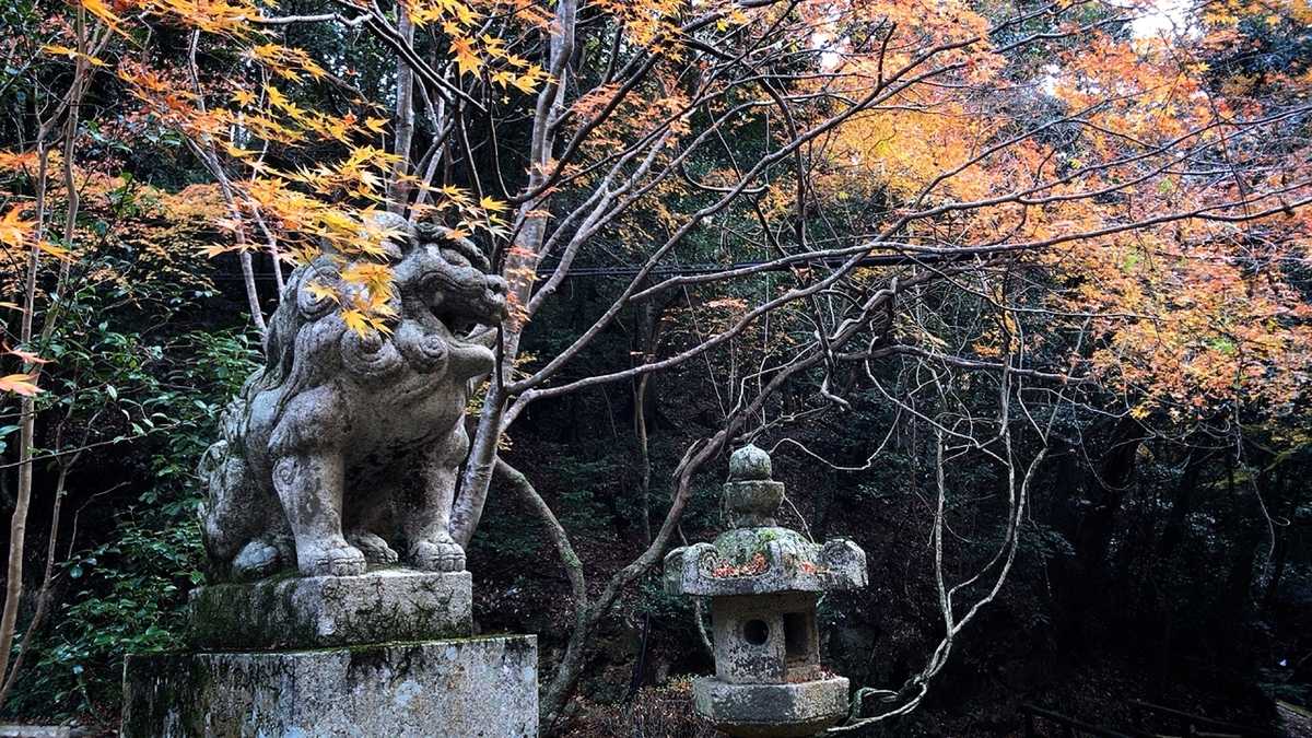 f:id:yukix03:20191208195257j:plain