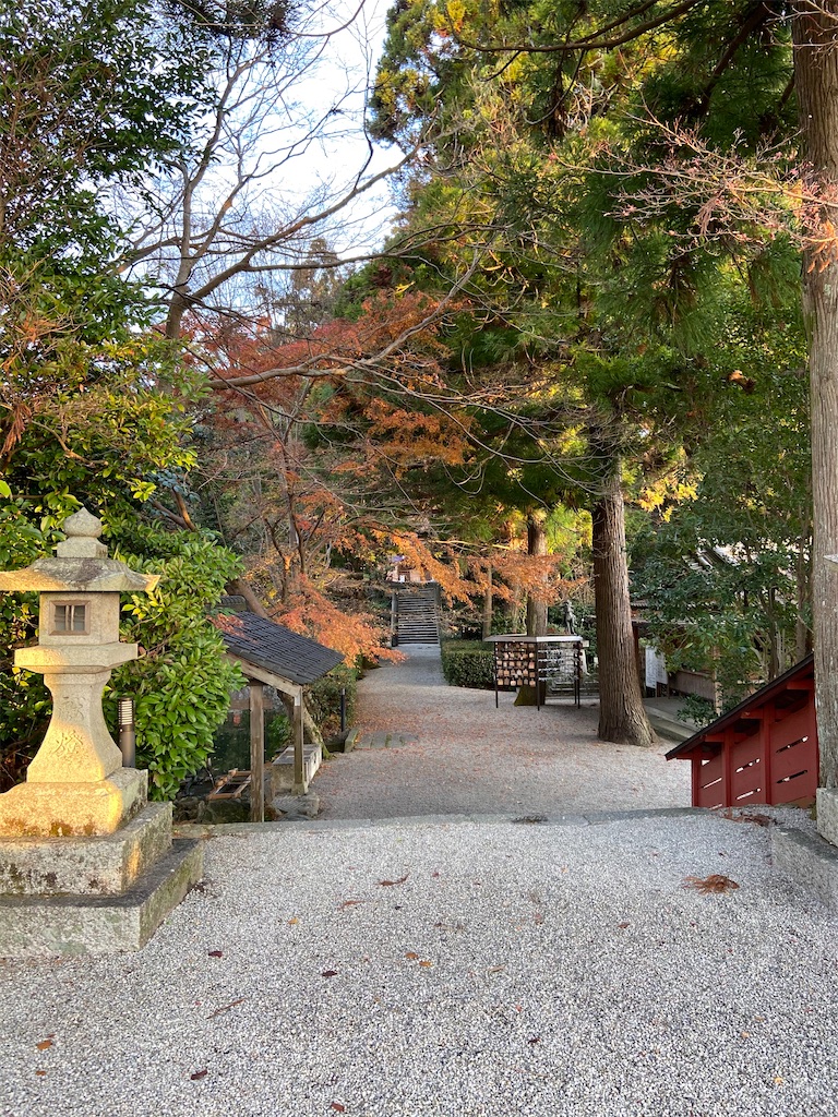 f:id:yukix03:20191219221803j:image