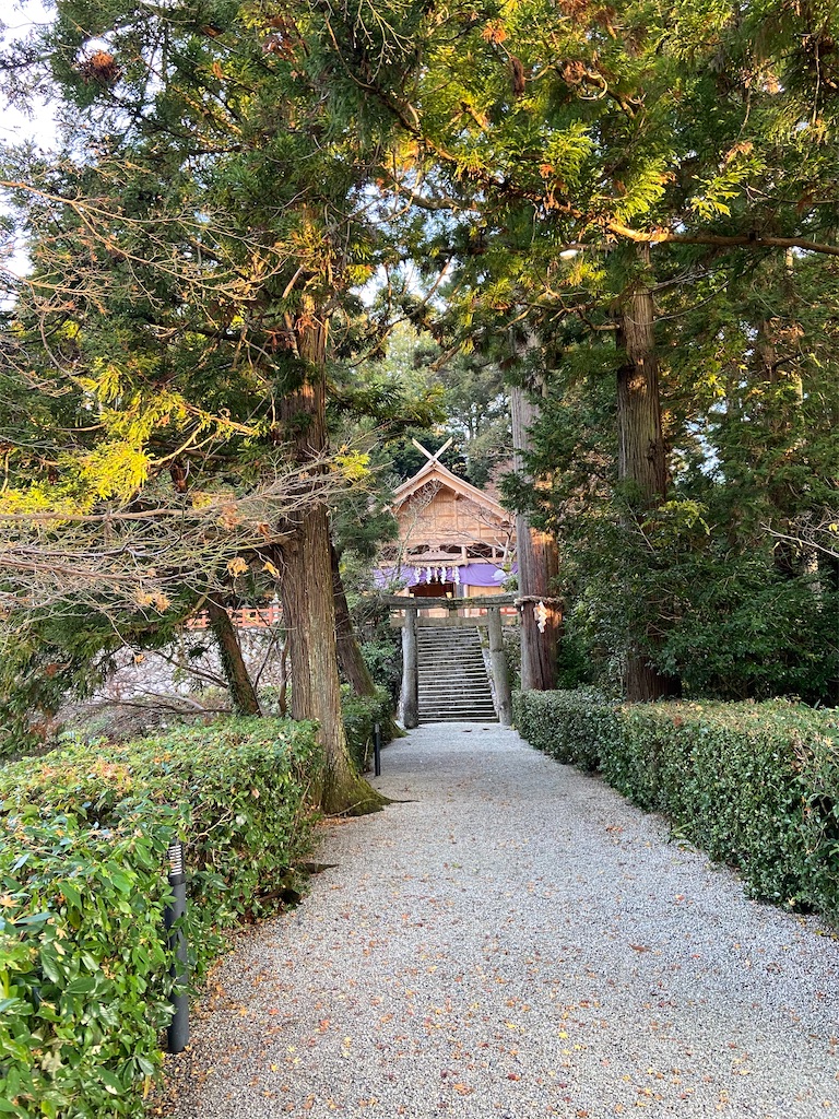 f:id:yukix03:20191219221850j:image