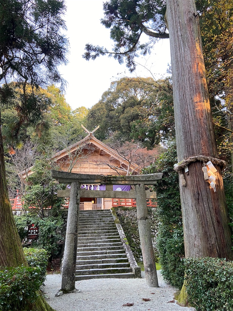 f:id:yukix03:20191219221906j:image