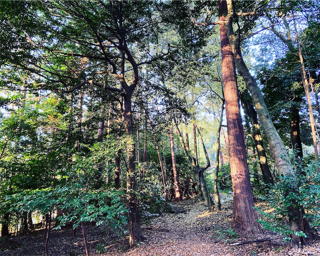 f:id:yukix03:20191219222133j:image